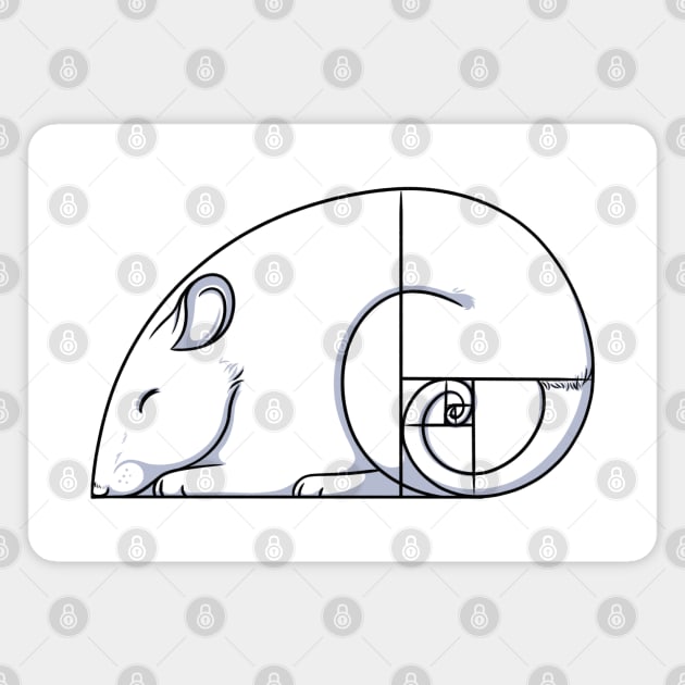 Golden Ratio Magnet by DeguArts